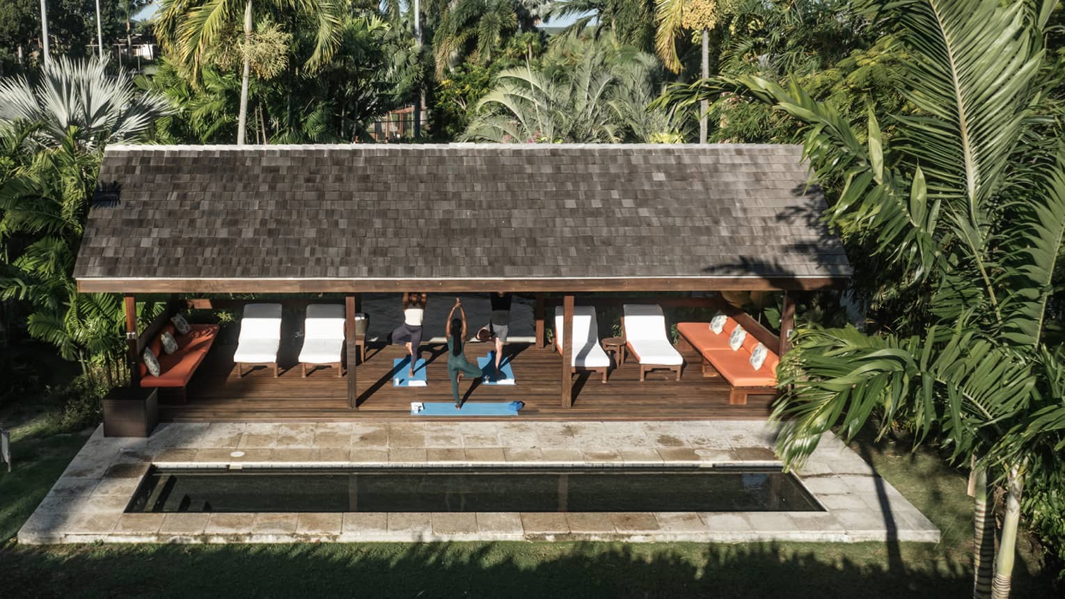 People doing yoga outside surrounded by palm trees
