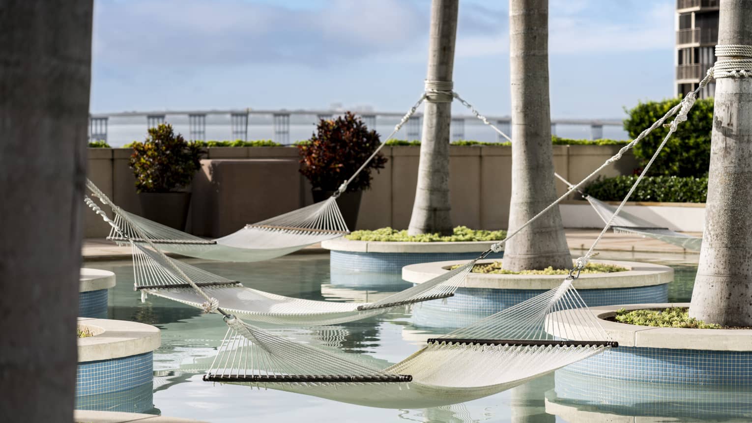 Two hammocks strung between palm trunks hang over outdoor pool