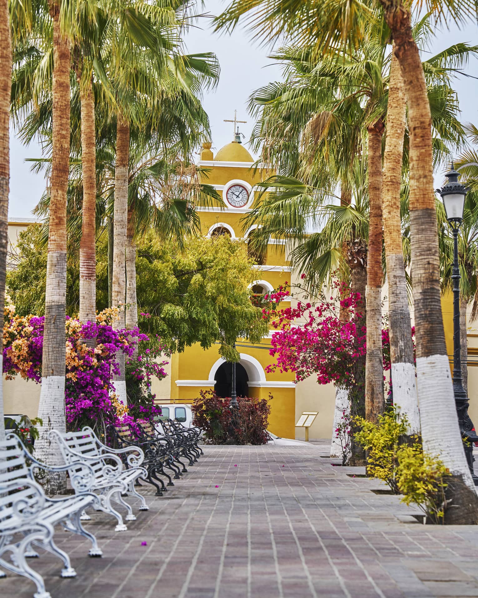 A tiled walkway lined with palm trees, bougainvillea flowers and wrought iron benches leads to a brightly coloured gatehouse.