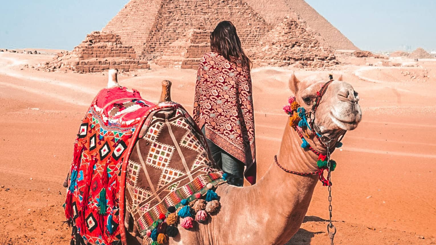 A woman behind a camel covered in colourful blankets looking at pyramids in the distance.