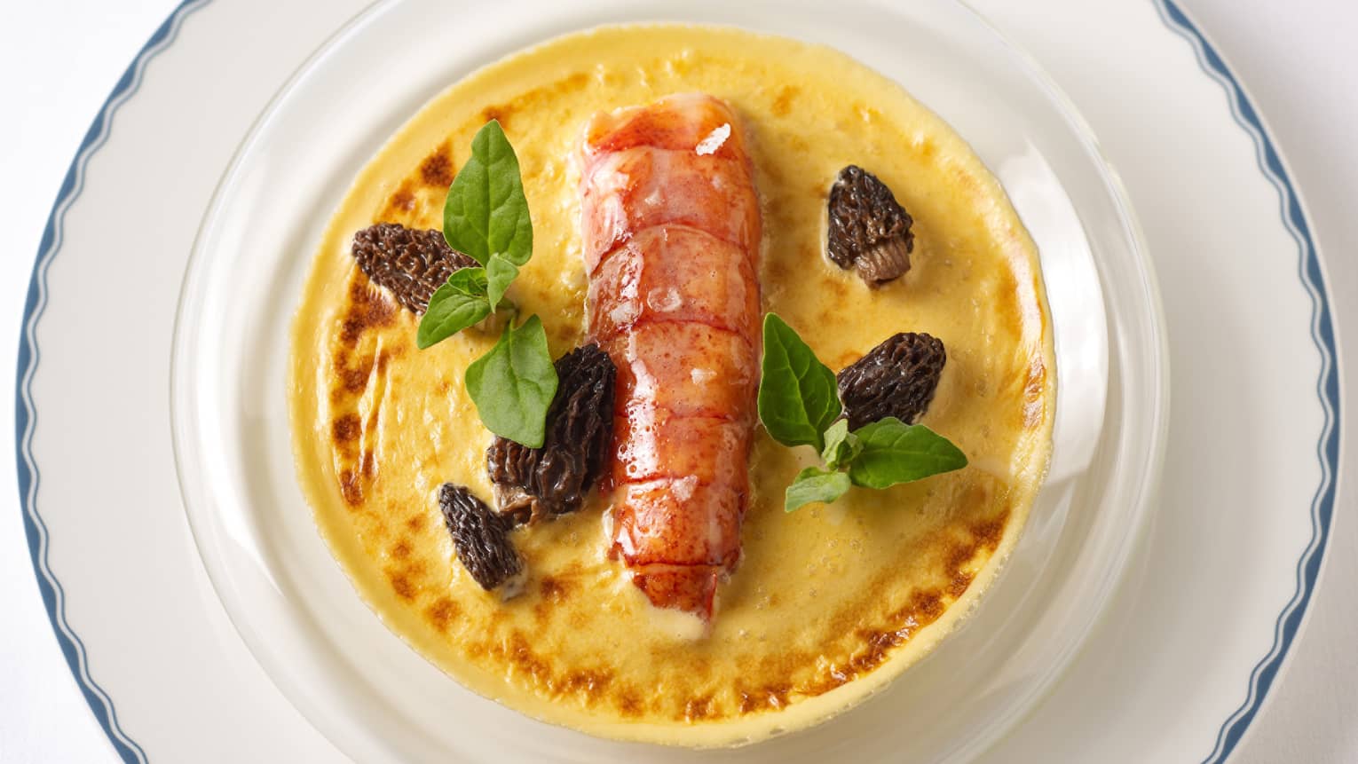 Seafood on a white plate.