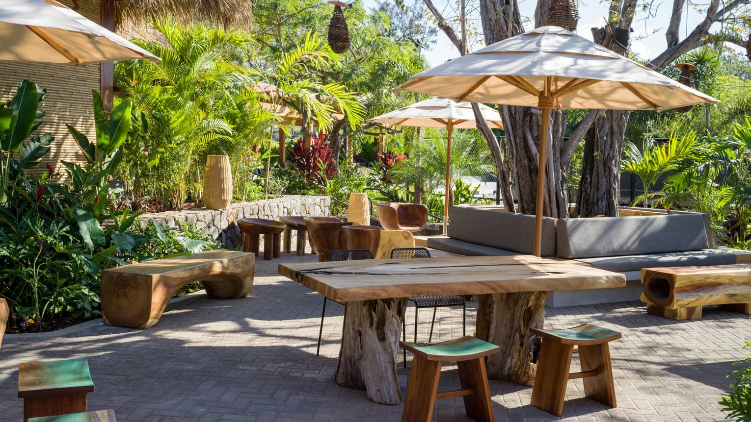 Several picnic tables with brown umbrellas, surrounded by palm trees.