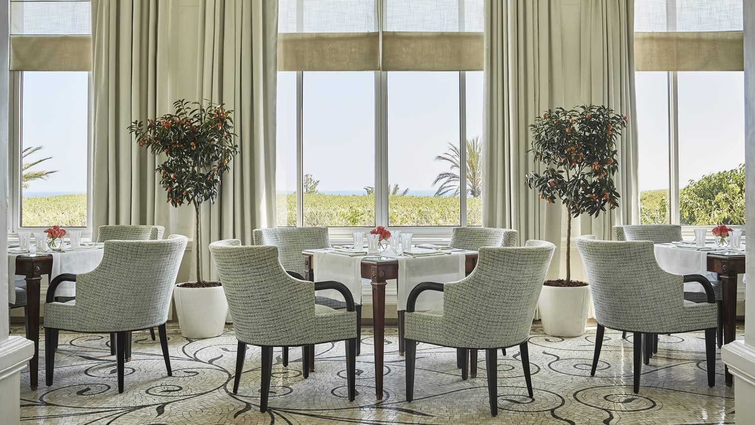 Dining chairs and tables under tall, sunny windows, potted trees in La Veranda