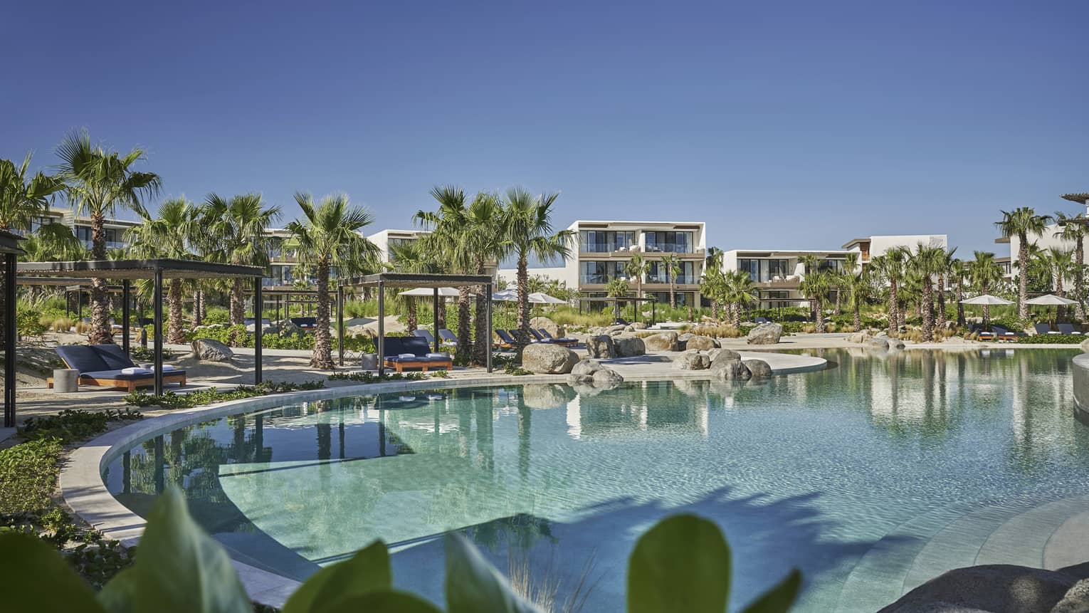 A large round pool surrounded by palm trees, grass, and a hotel.