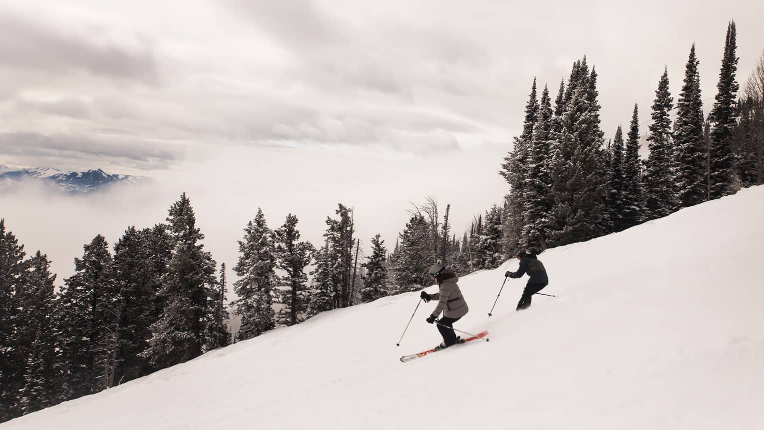 Arial view of two skiers descending a snow covered slope