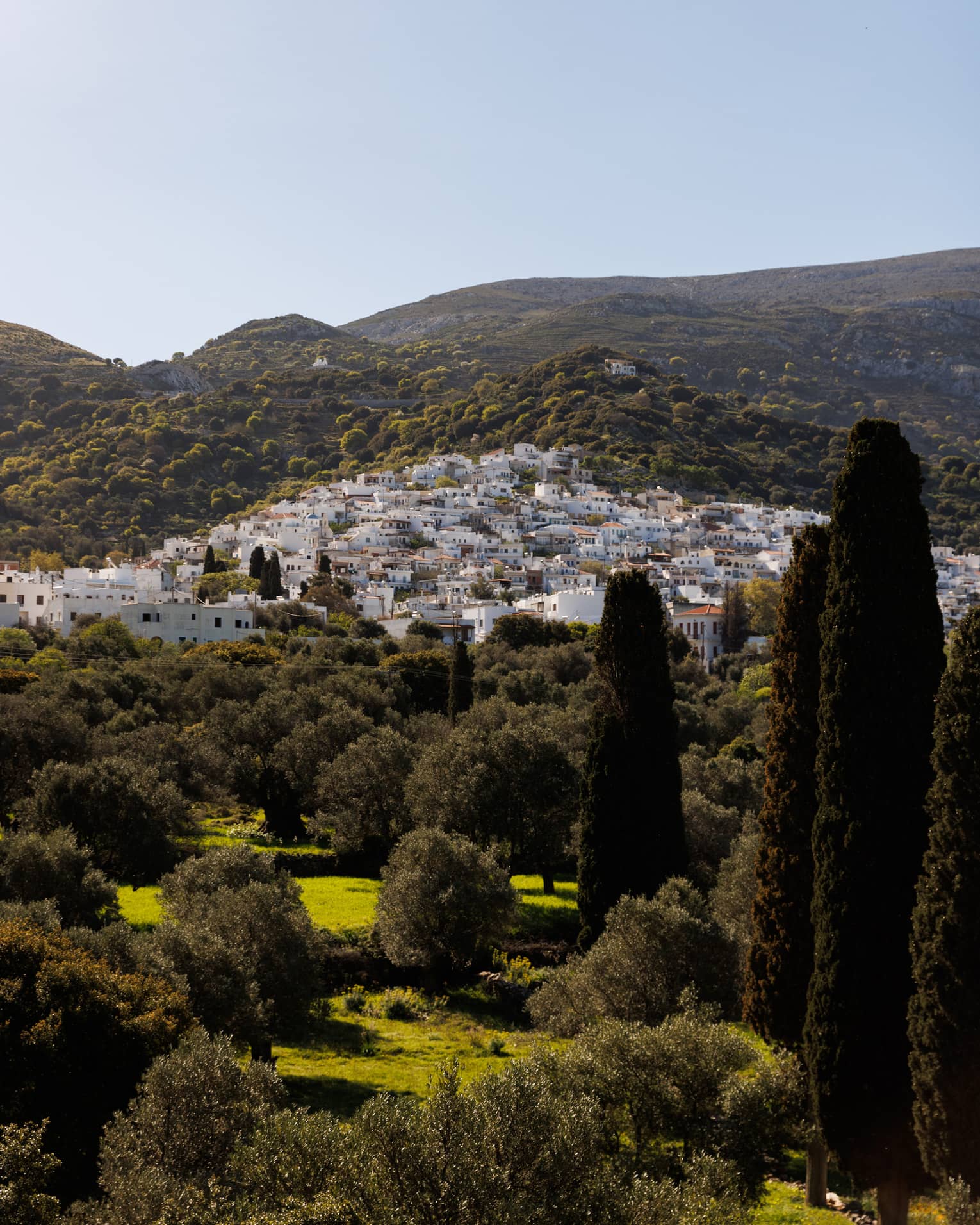 A cluster of white buildings nestled into the rolling sunlit hillside and surrounded by fields and trees. 
