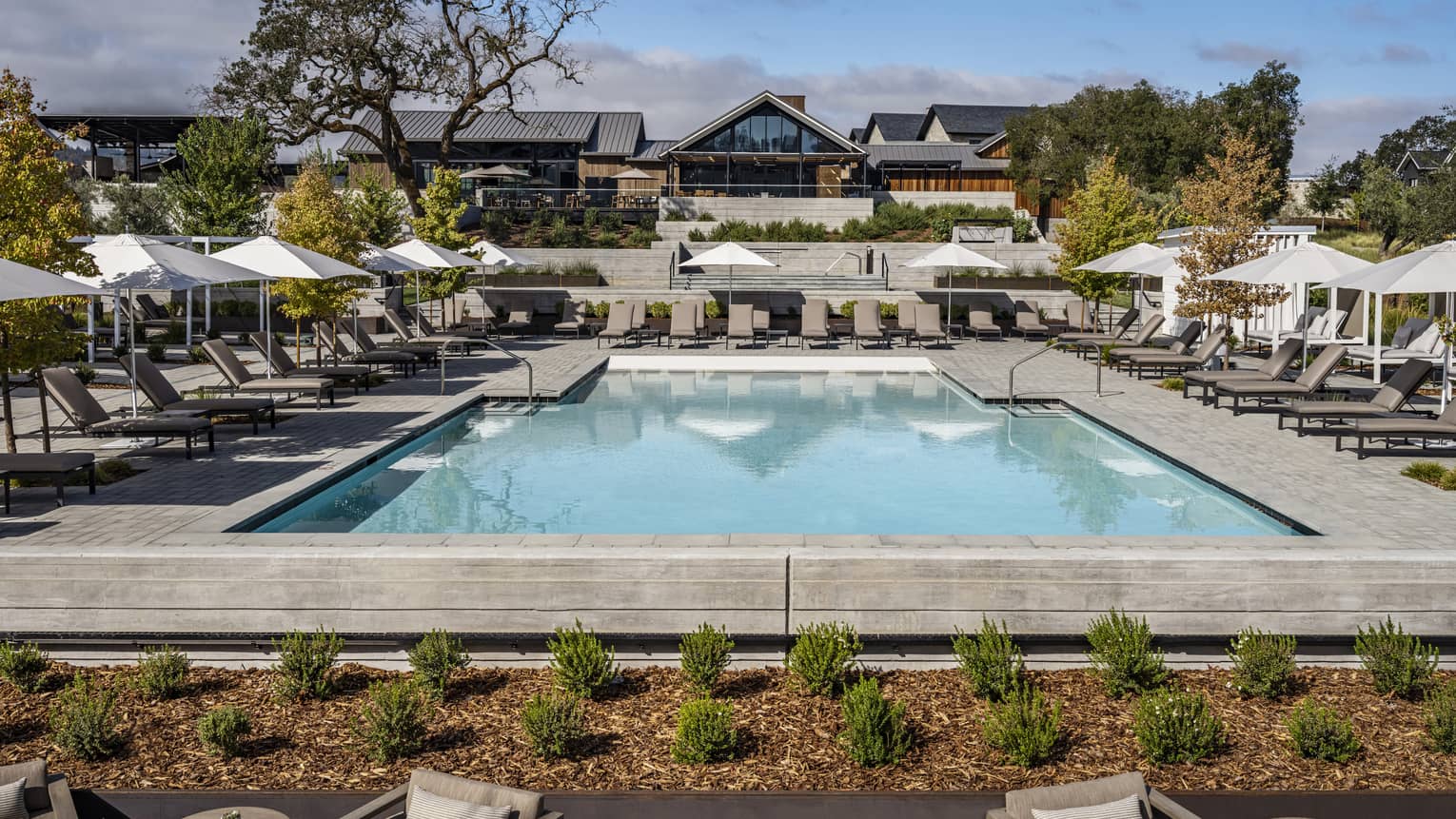 An outdoor pool surrounded by lounge chairs, white umbrellas and small plants.