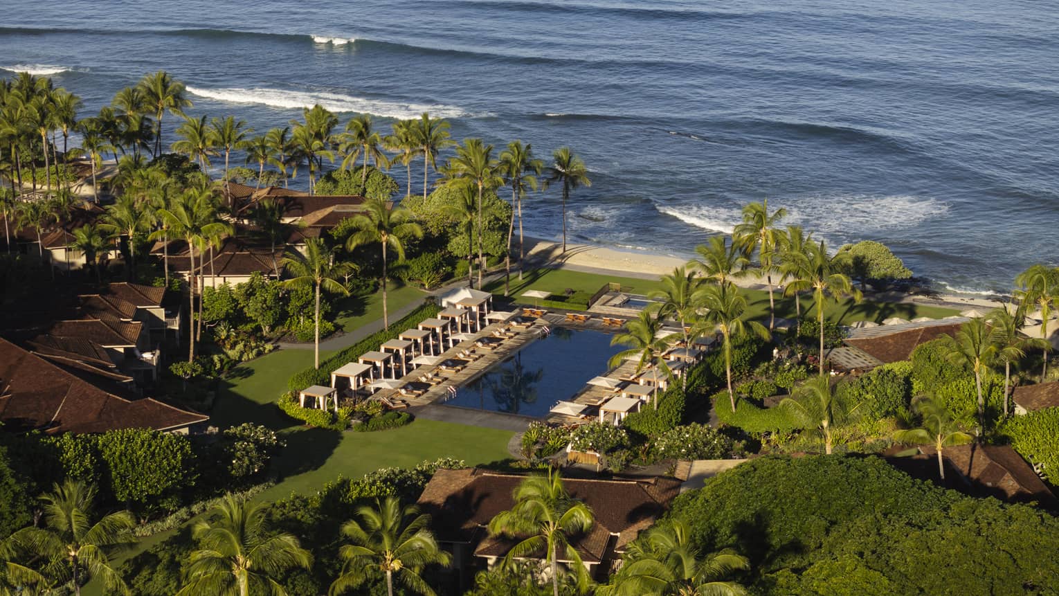 Tropical resort pool lined with cabanas and palm trees, next to the beach and ocean