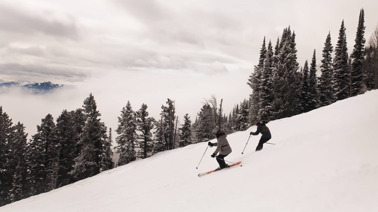 Arial view of two skiers descending a snow covered slope 
