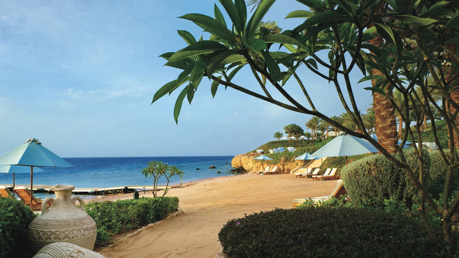 Palm trees, tropical plants hang over golden sand beach by sea