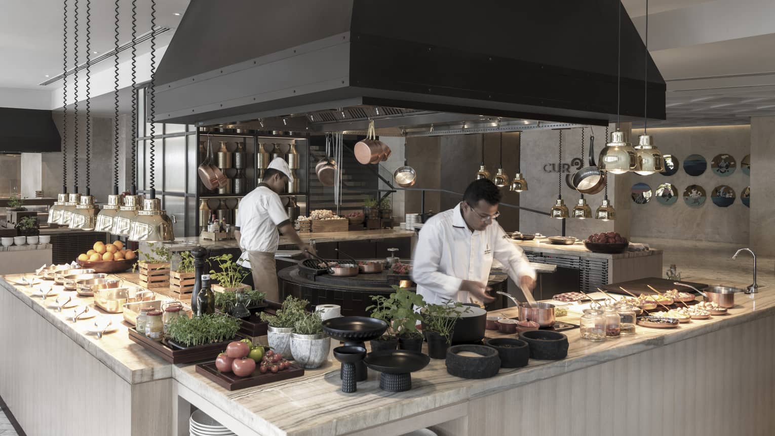 Chefs prepare meat and vegetable dishes an open kitchen