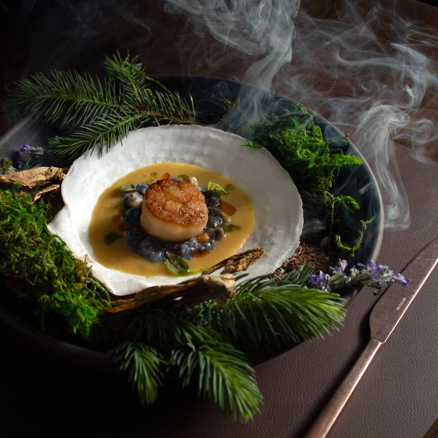 A scallop-shaped plate holds a cooked scallop on a bed of cooked greens all atop a caramel-colouredsauce.