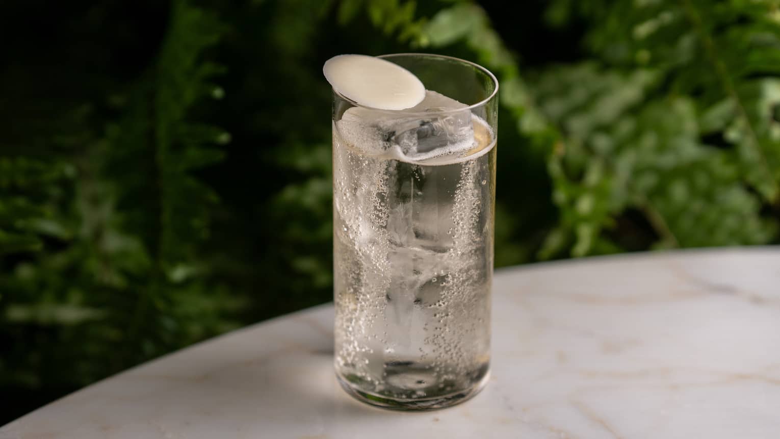 A tall clear tumbler holds a clear cocktail with a round, white garnish.