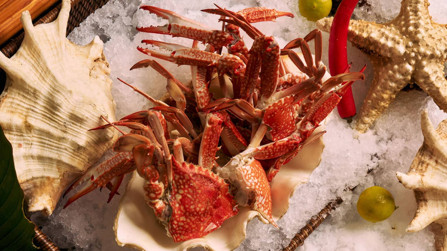 Assorted seafood on platters of ice
