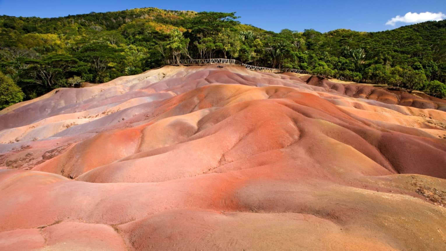 Tan, yellow and fiery orange undulating sand dunes with thick forest backdrop under azure sky; walking bridge at forest edge.