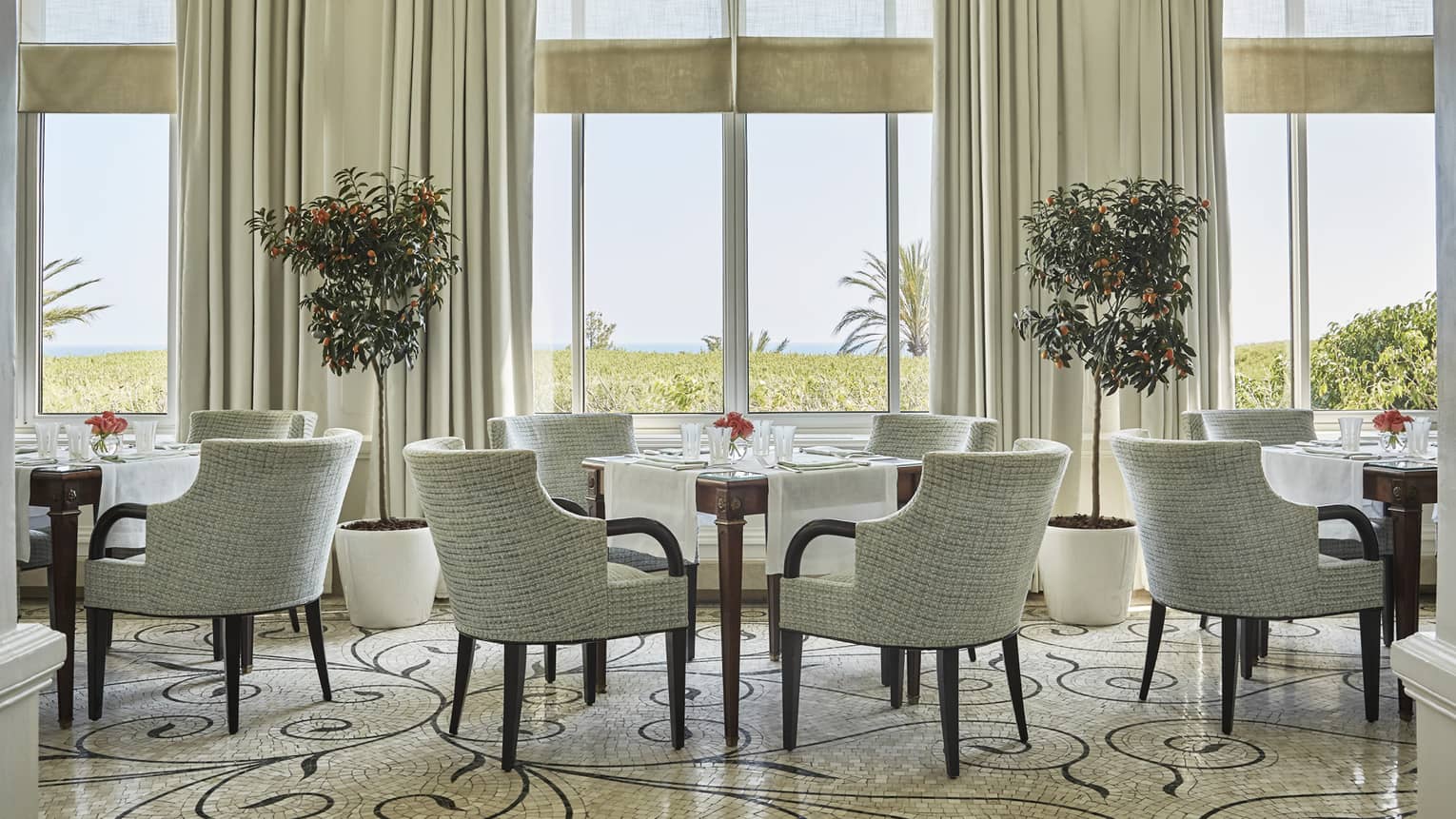Dining chairs and tables under tall, sunny windows, potted trees in La Veranda