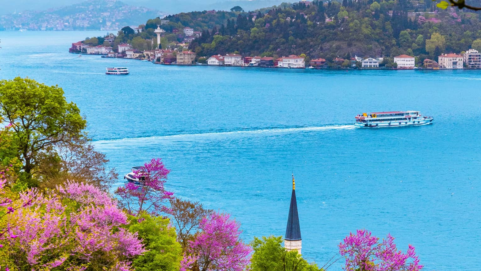 Bridge over bright blue water, boat and hills with green and purple trees