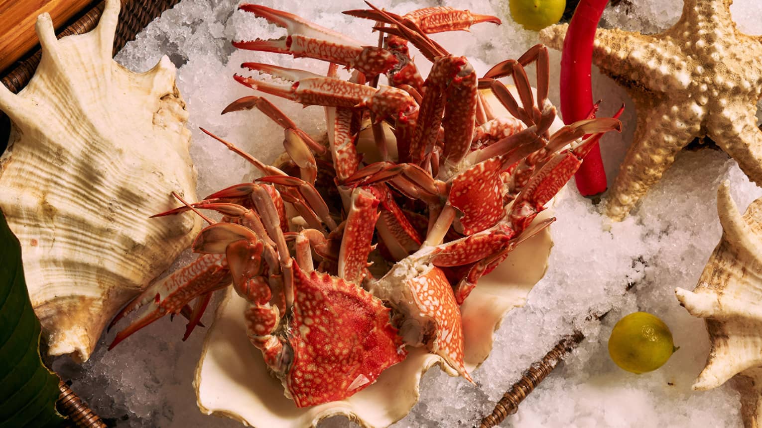 Assorted seafood on platters of ice