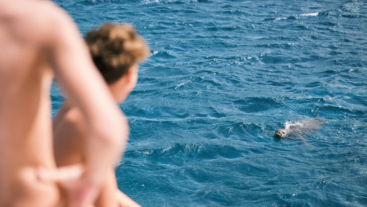 Two children on a boat watch a seal in the water