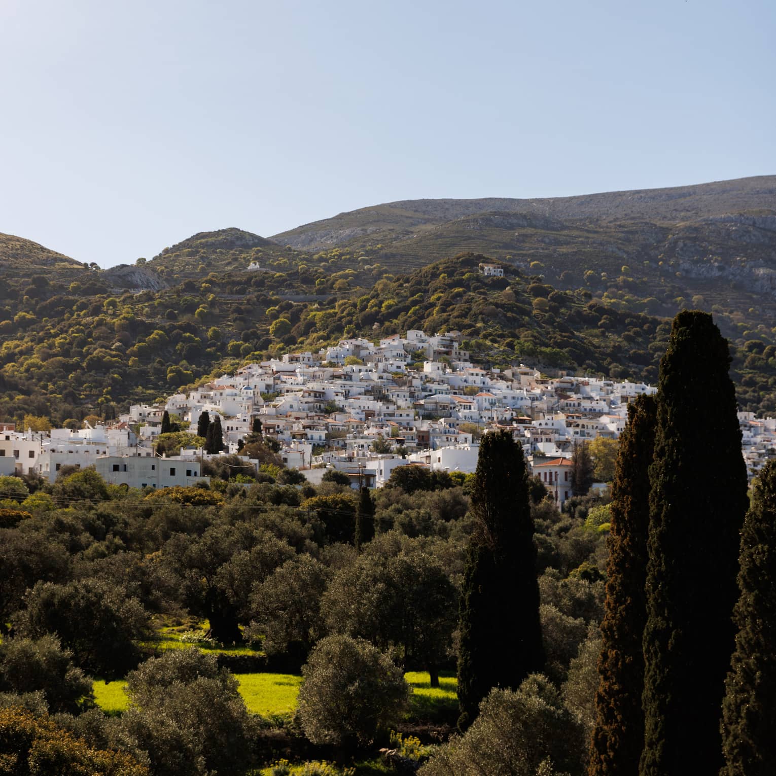 A cluster of white buildings nestled into the rolling sunlit hillside and surrounded by fields and trees. 