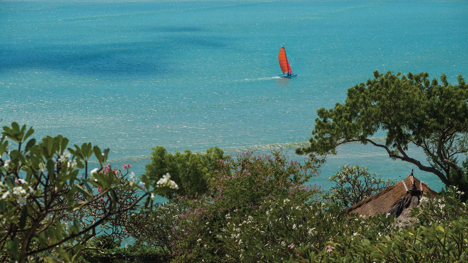 Sweeping view beyond trees to Catamaran boat sailing on ocean 