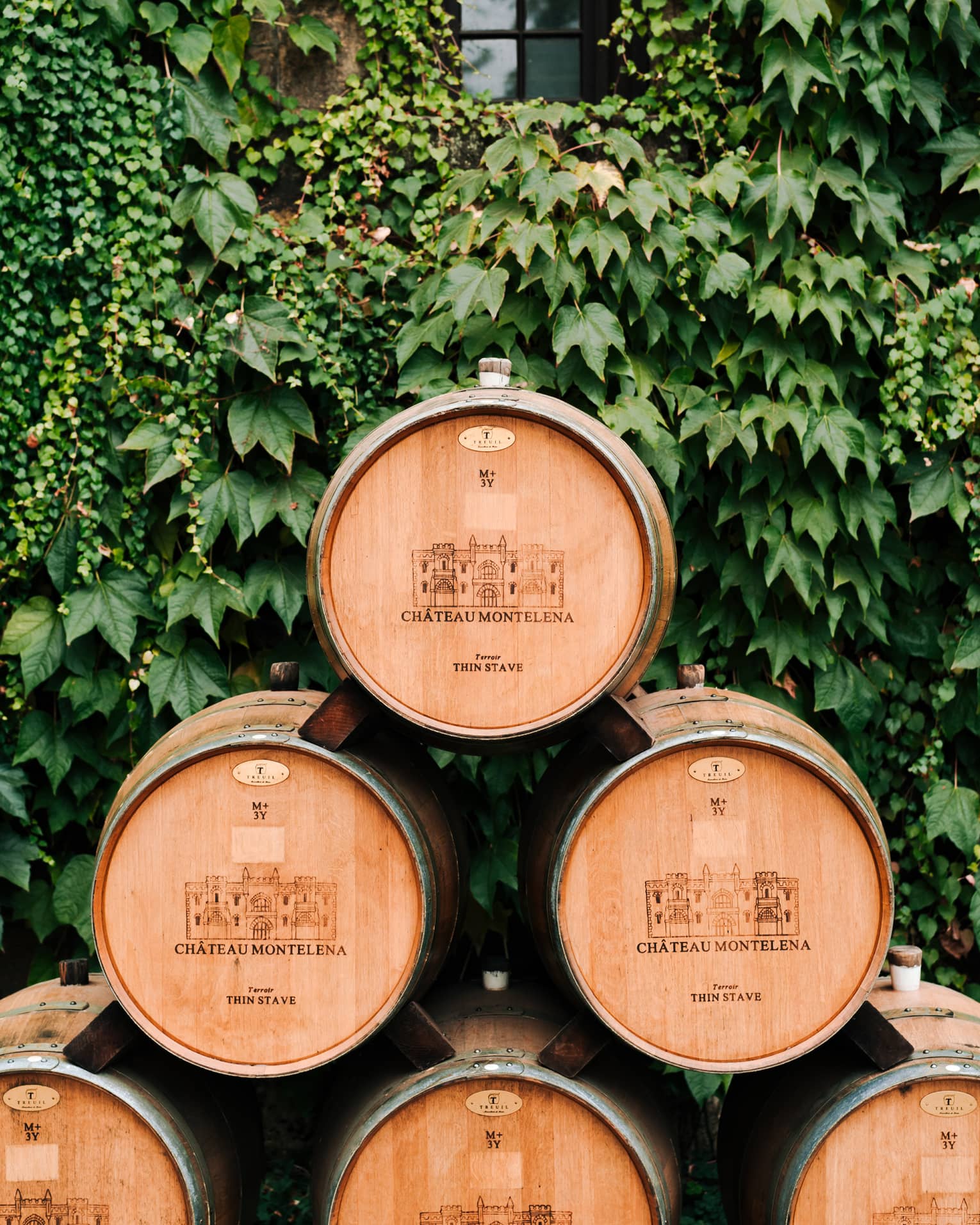 Wine casks stacked on top of each other and surrounded by plants