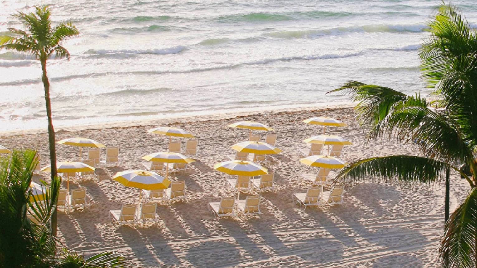 The shore with yellow umbrellas and chairs near the ocean surrounded by palm trees