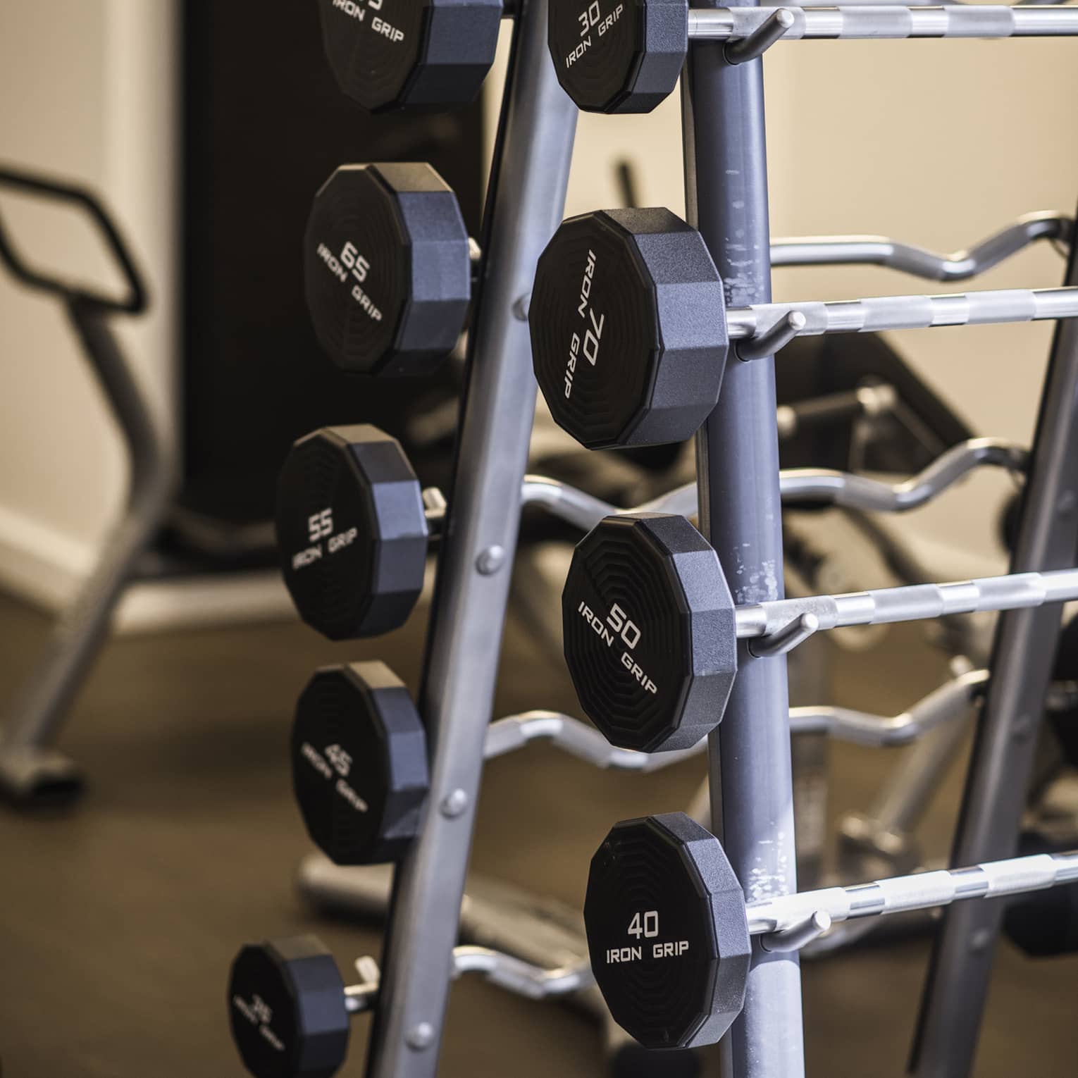 Close-up of a barbell rack holding both standard and curl bars in various fixed weights.