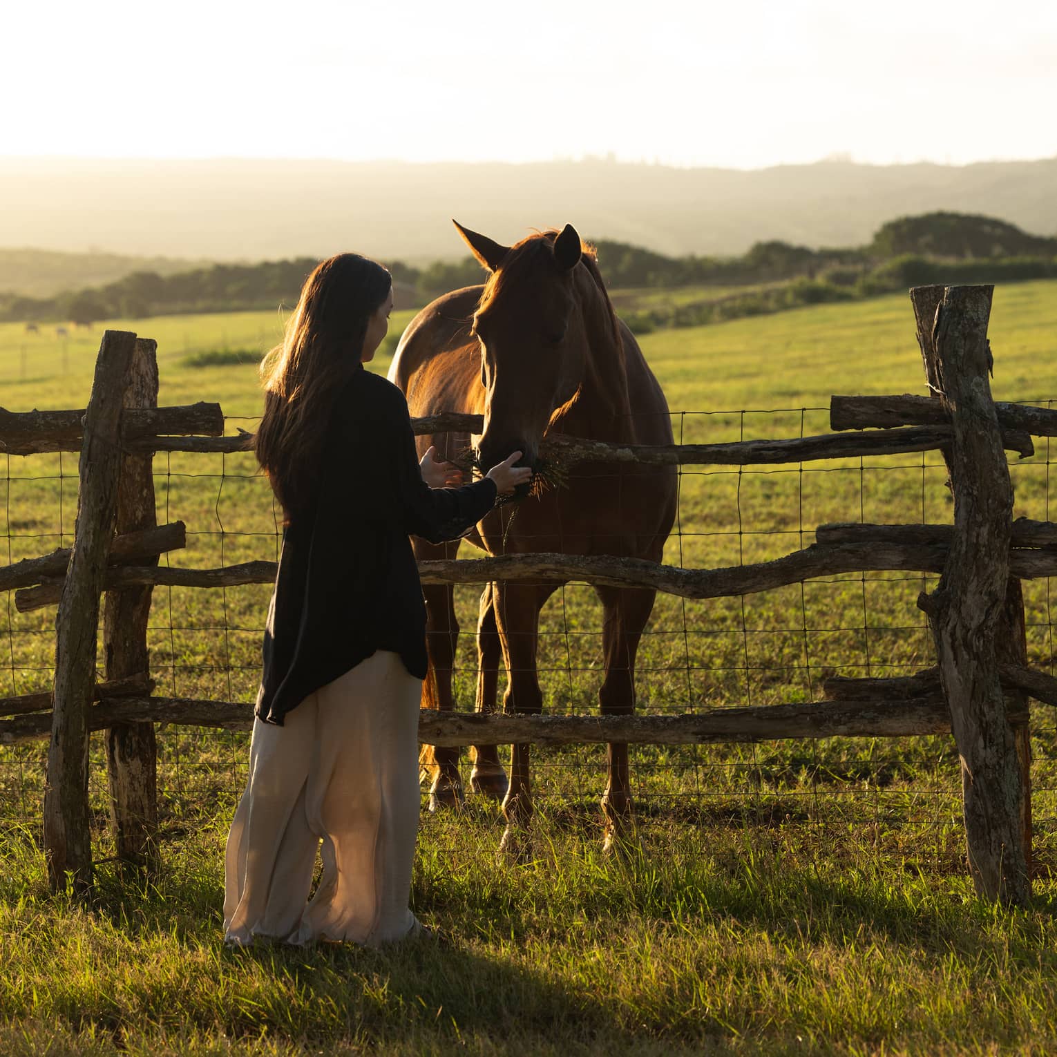 A woman pets a horse in a grass field at sunset