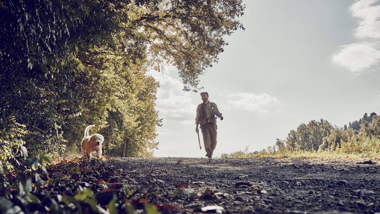 Man walks dog along tree-lined trail on country road 