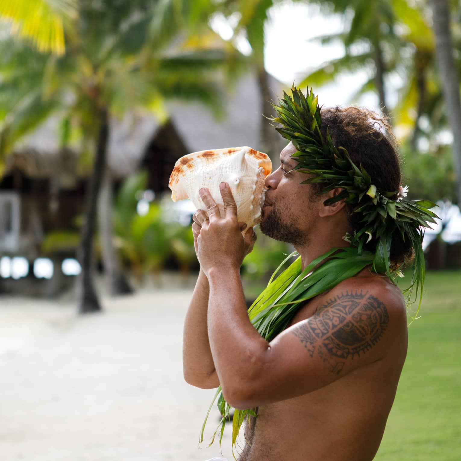 Tahitian man holds large sea shell to his lips on resort garden path