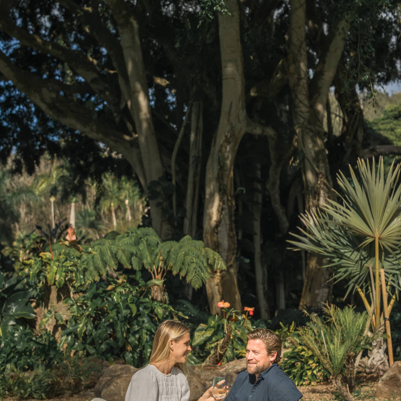 Couple enjoys a picnic and glasses of wine on a lawn under the canopy of a giant banyon tree, tropical plants behind them. 