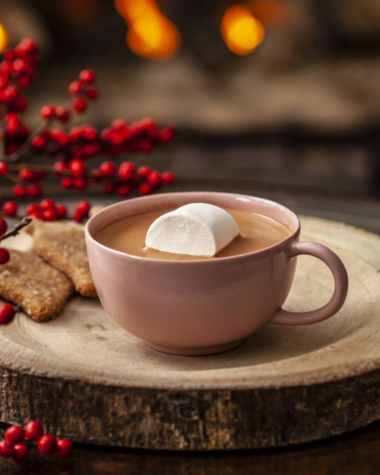 A mug of hot chocolate with a marshmallow in it