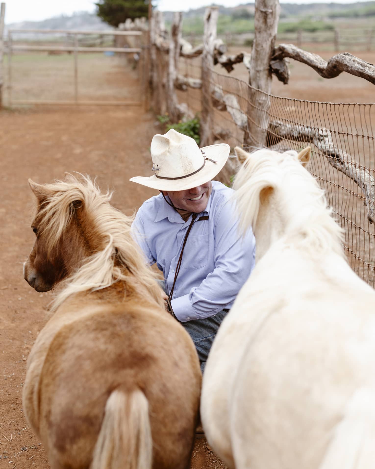 Person wearing jeans, blue button-down shirt and white cowyboy hat sits next to two horses ? one white, one brown ? next to a fench on a ranch
