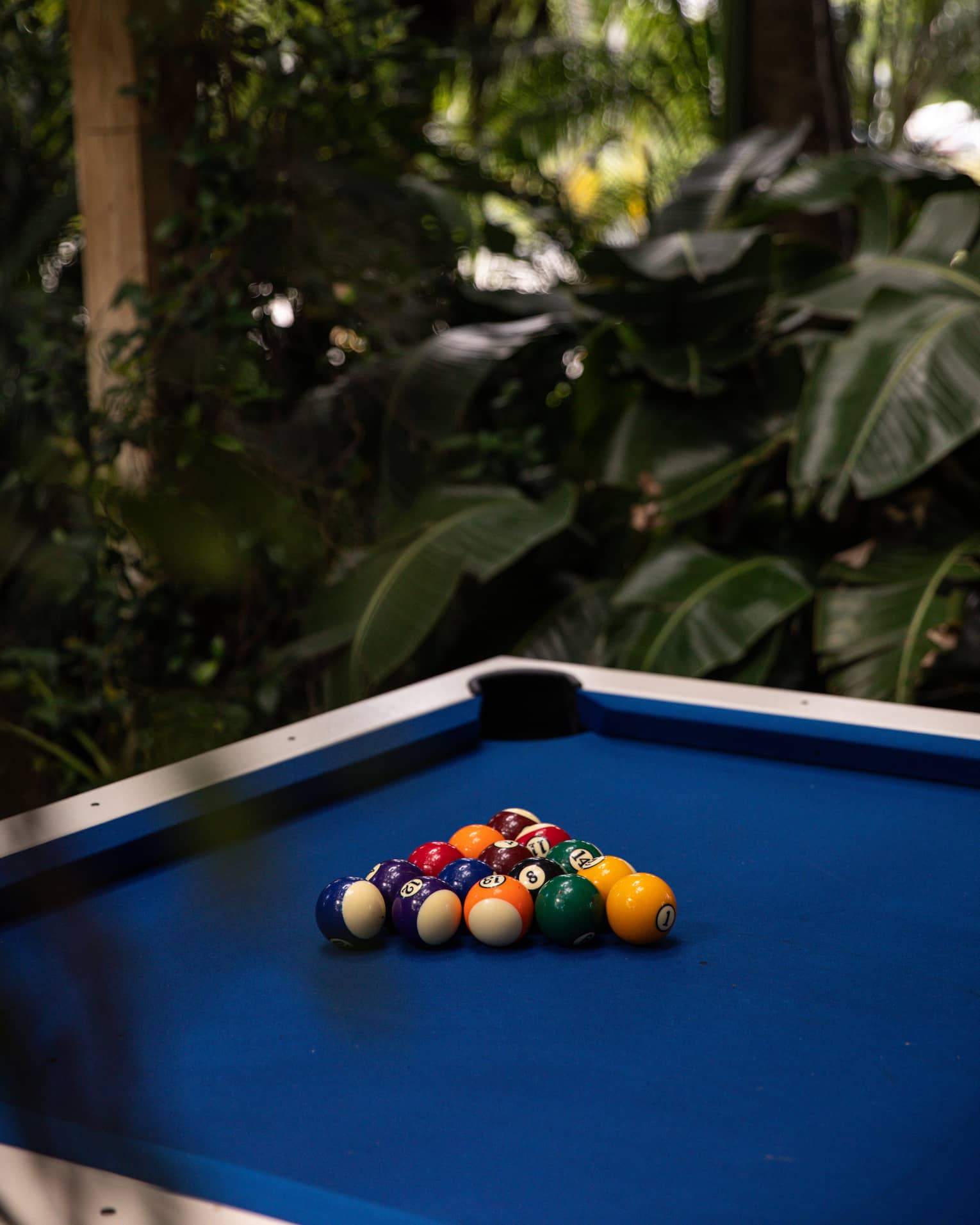 Blue billiards table surrounded by lush greenery