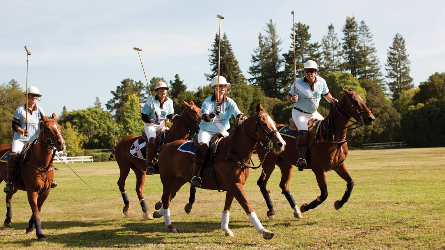 Group of polo players riding horses on green lawn
