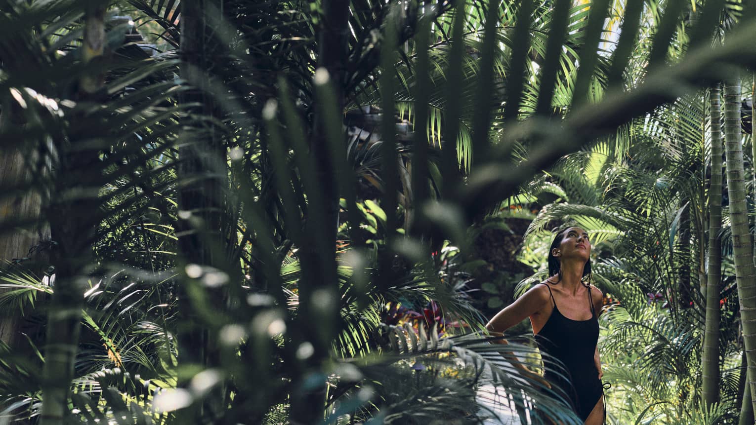 A woman in a black bathing suit walks through lush rainforest