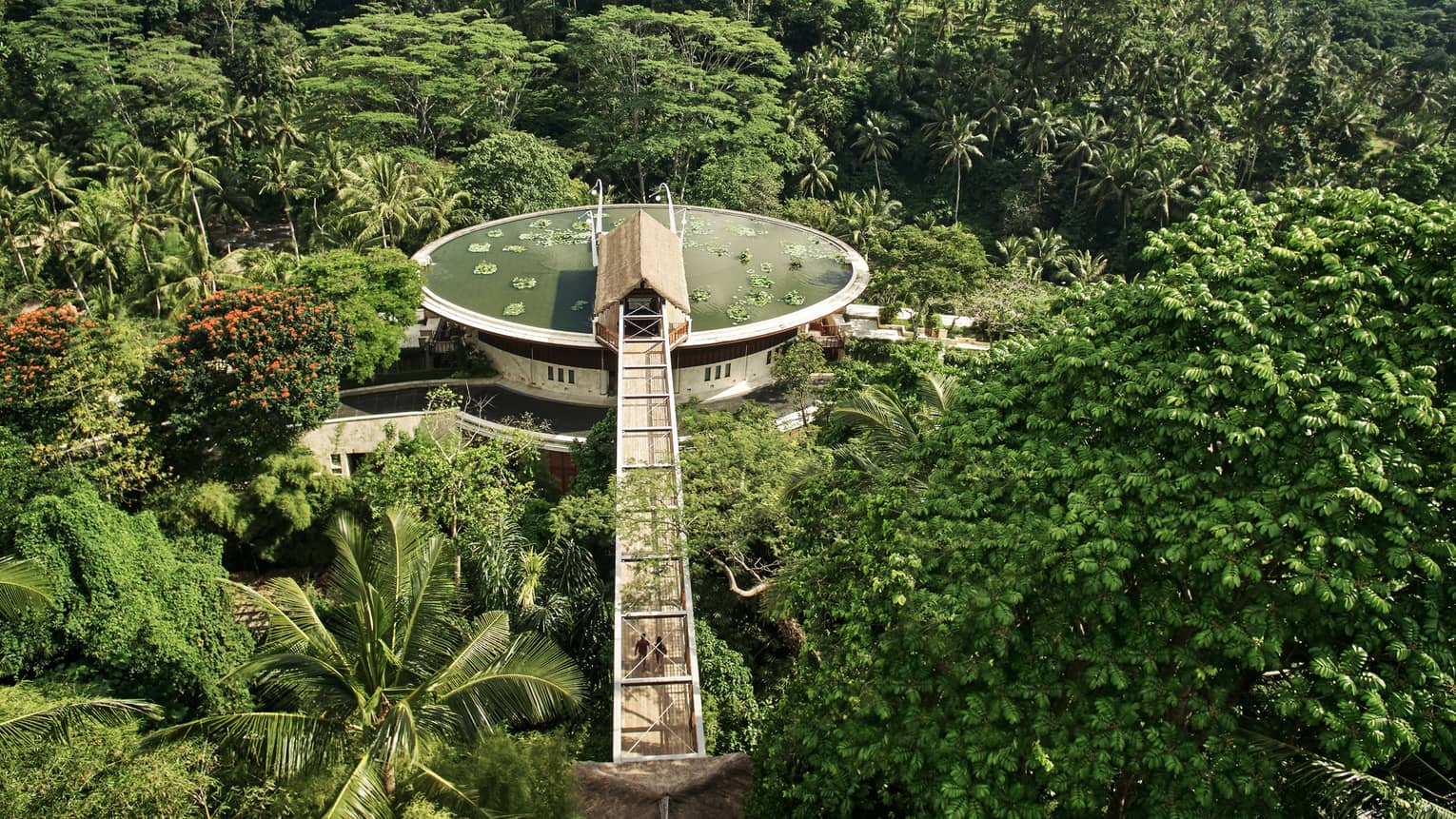 Aerial view of lotus pond at resort entrance, perched above jungle-like forest in Bali