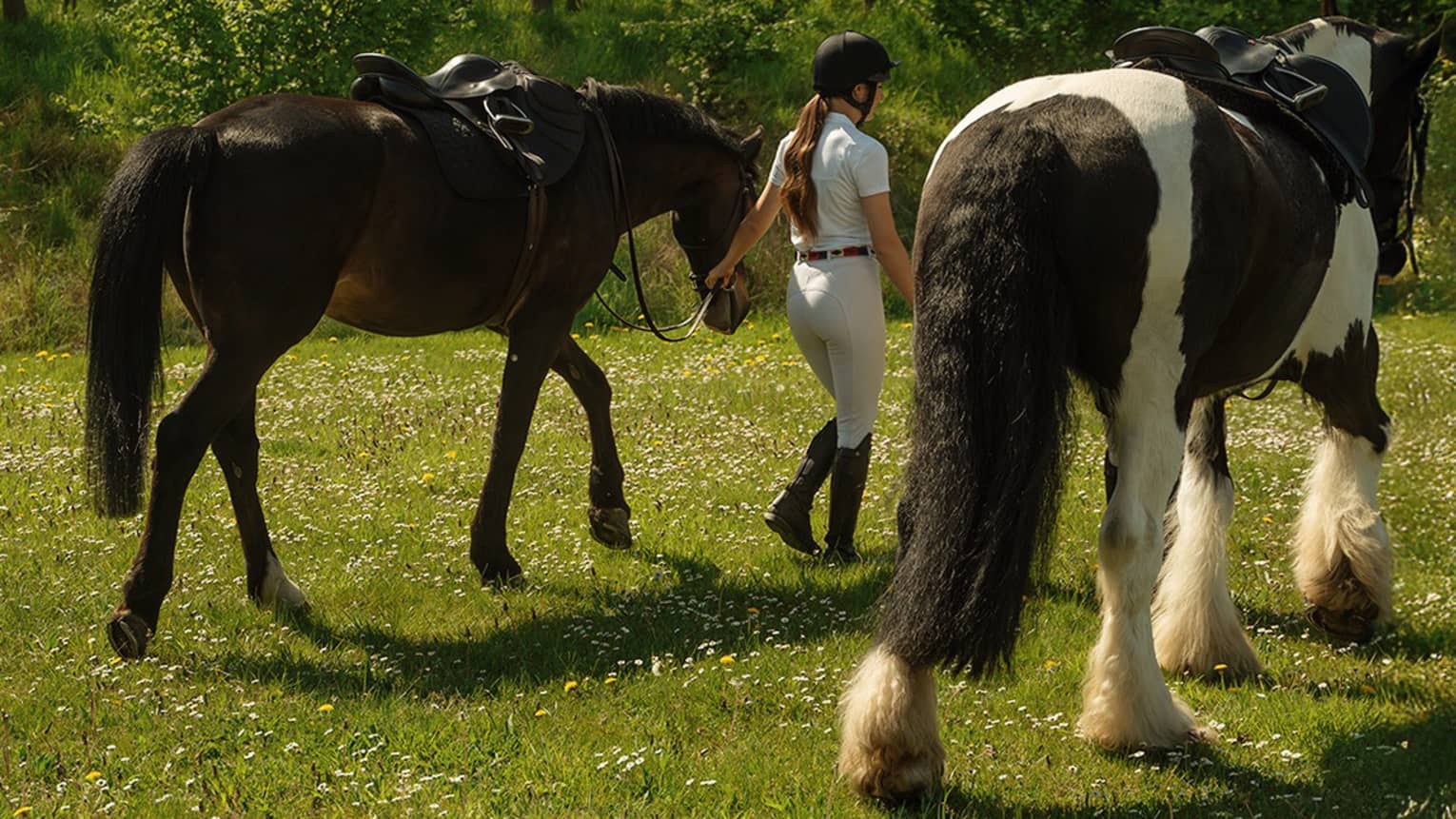 A person in equestrian riding gear walks two horses on a verdant lawn, with a woods in the background.
