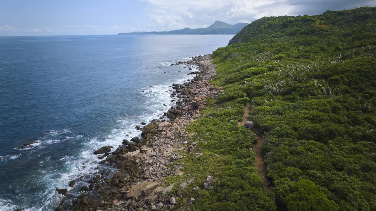 A beach shore covered in green and rocky sand.