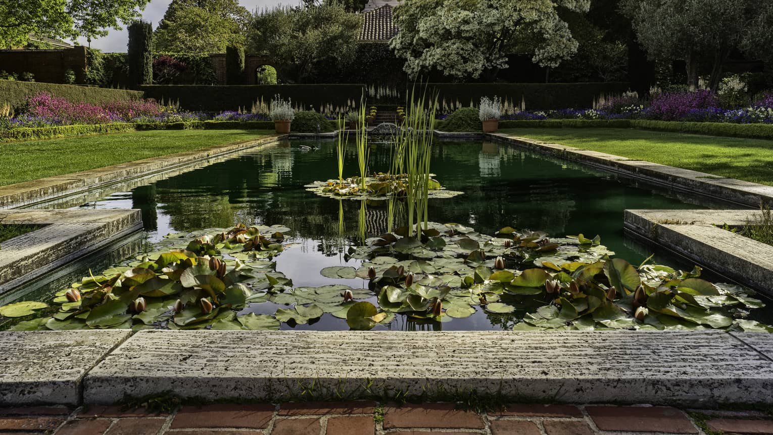 Pond surrounded by grass, trees and pink flowers.