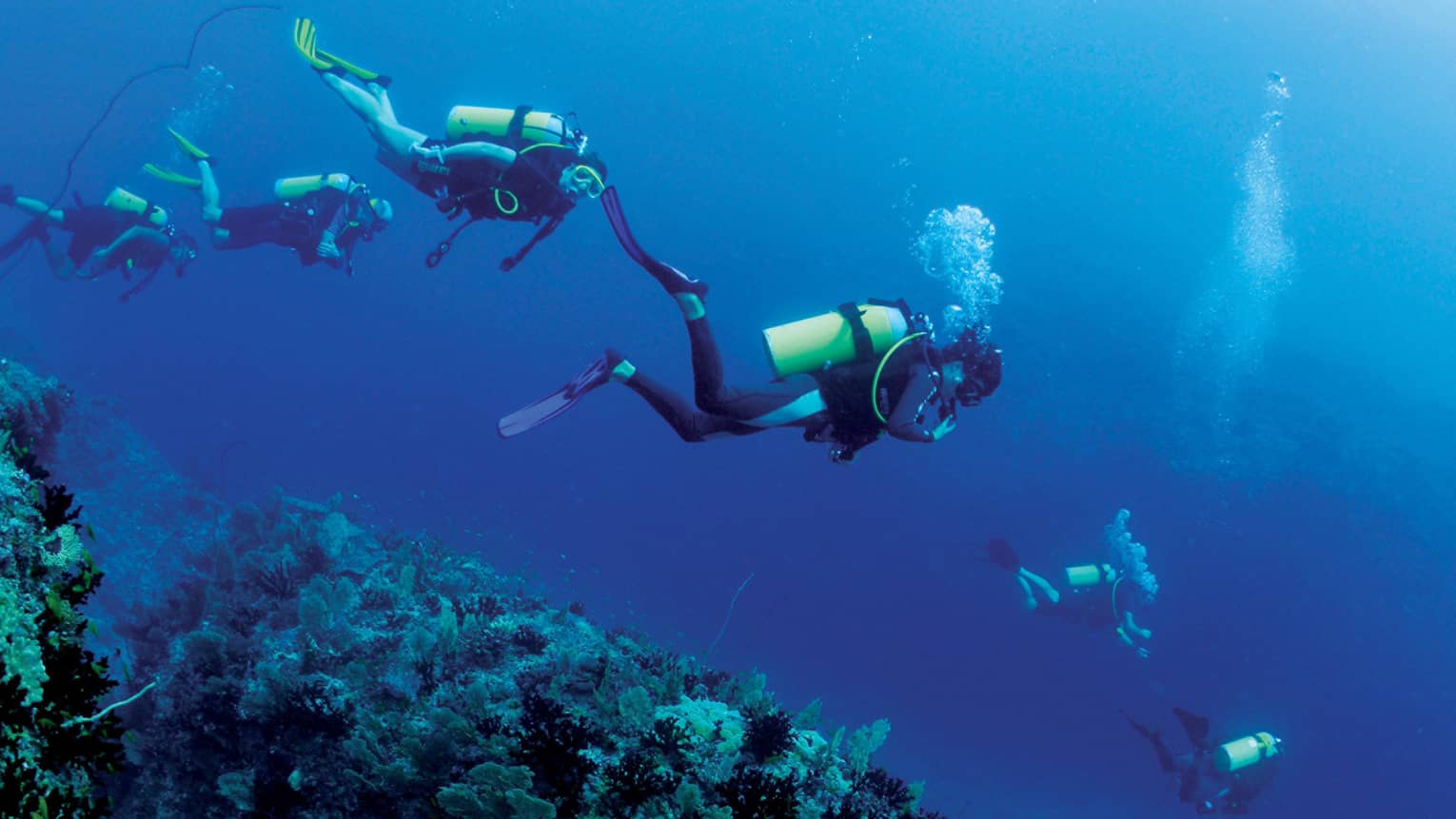 Group of scuba divers explore ocean coral reef underwater