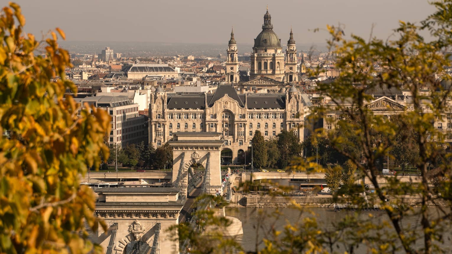 Budapest city and river view through trees