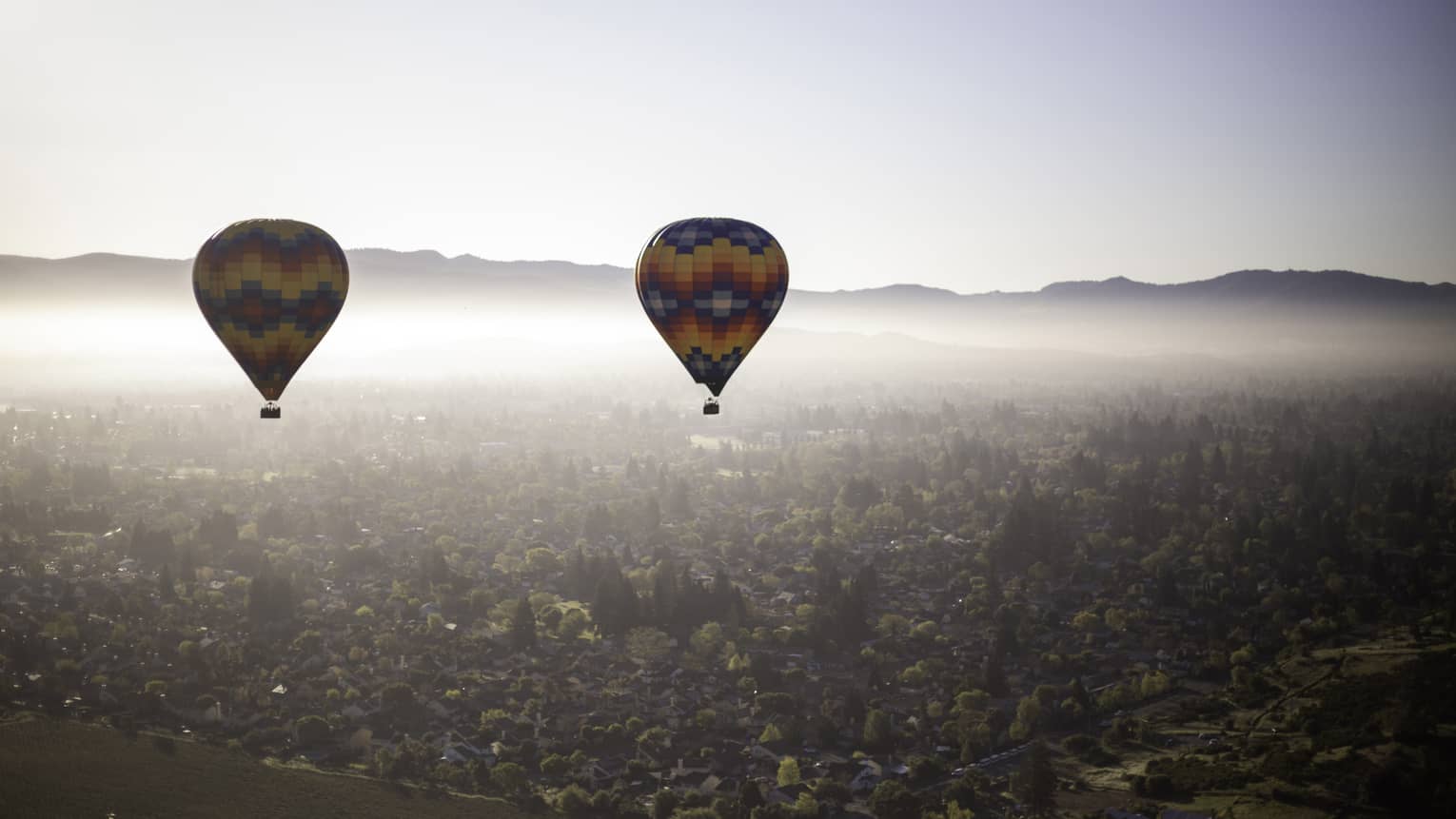 Two multi-coloured hot-air ballons float above a forested region, fog partially obscuring the mountains in the distance.