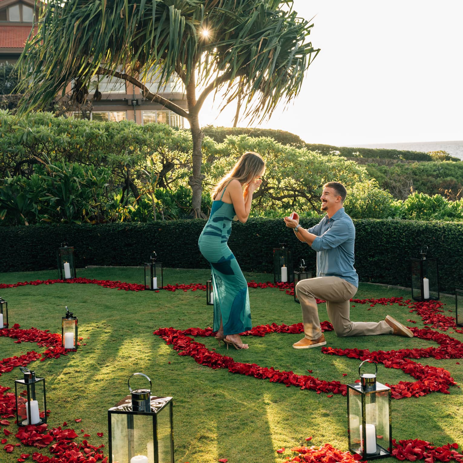 Man proposes to woman on one knee while in a tropical lawn scattered with rose petals