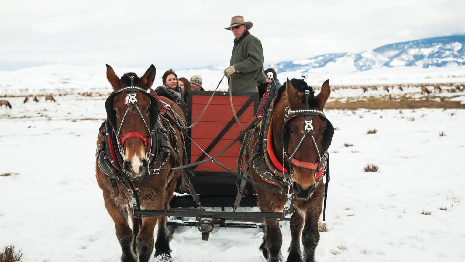 Jackson Hole Resort Luxury Ski Lodge Teton Village