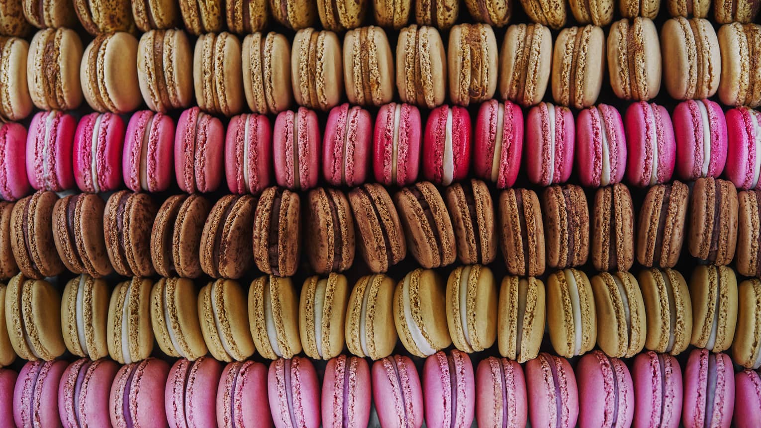 Close up of many macarons line up in rows of various colours of pink, brown and cream