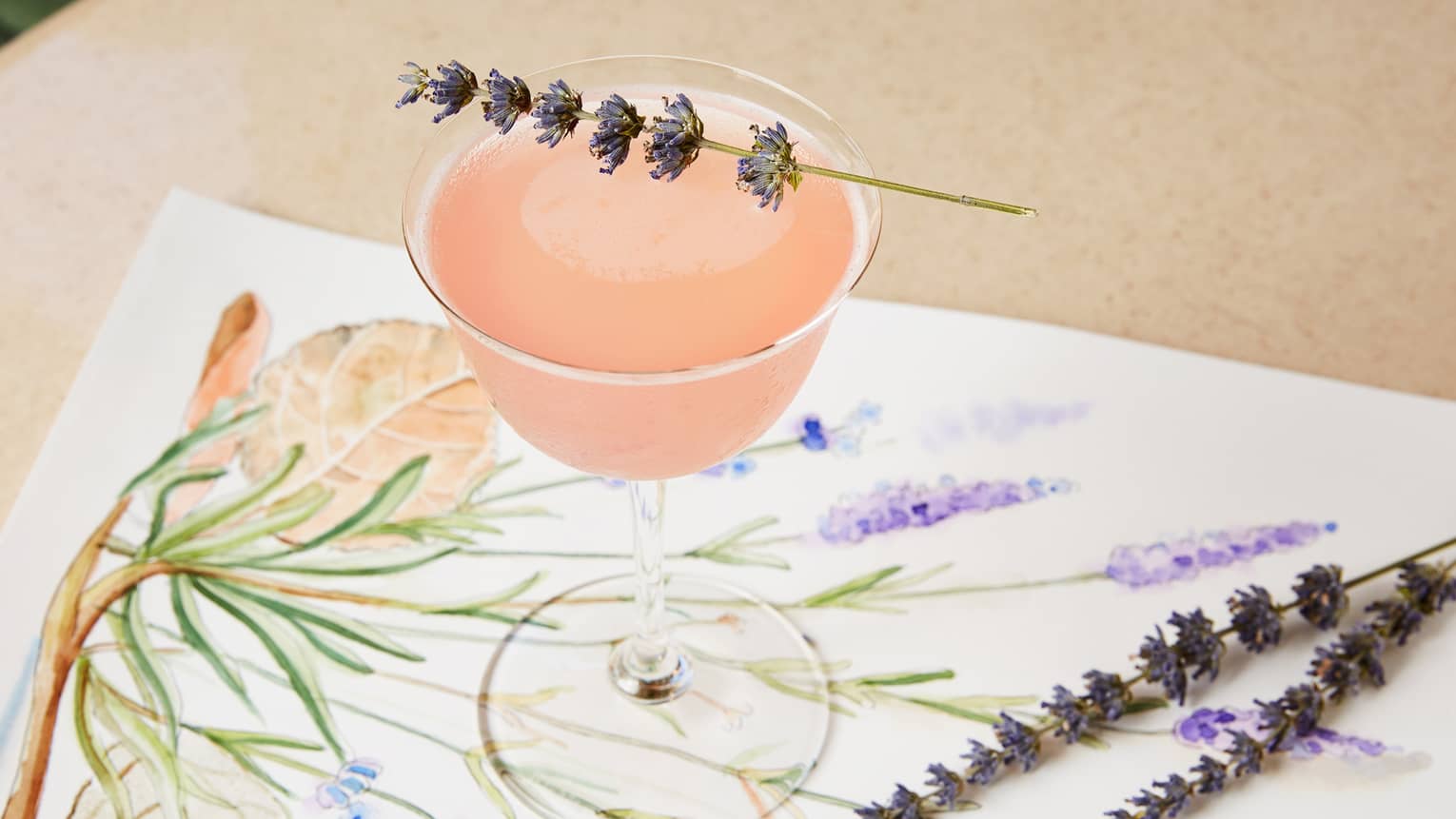 Sprig of dried lavendar on pink martini in glass sitting on floral watercolour painting