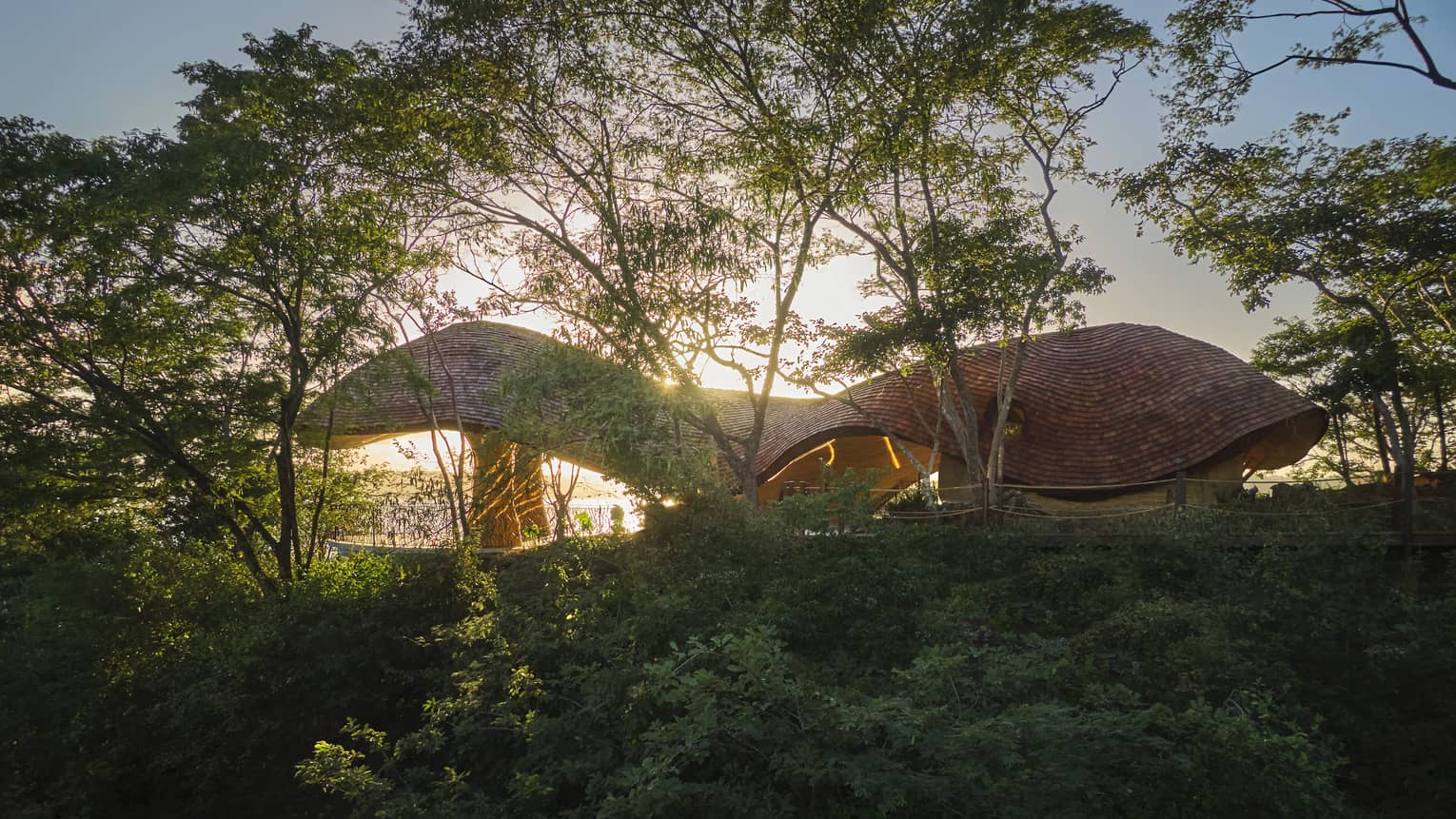 Organic-shaped shala on a tree-covered hilltop