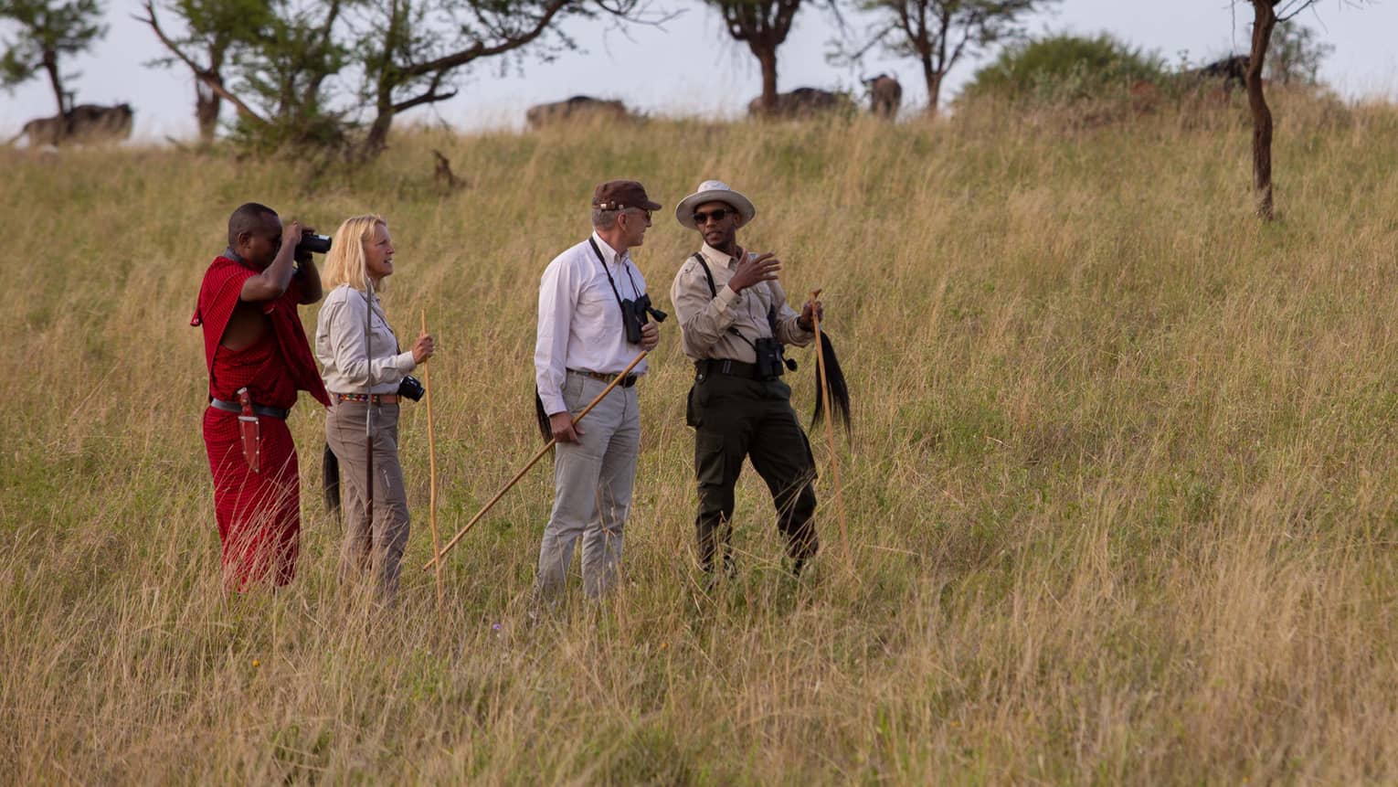 Two guests standing with two adventure guides on a grassy plain with trees dotting the backdrop